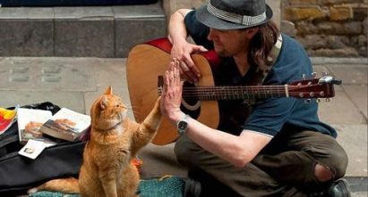 На окраине Хабаровска открылся автобусный хостел для бездомных