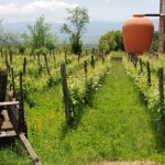 Грузия в четыре раза сократила поставки вина в Россию