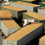 Экспорт пшеницы из РФ в I квартале вырос на 9%, до 3,07 миллионов тонн